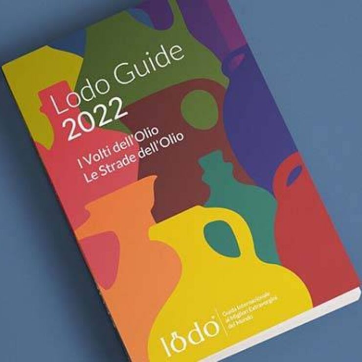 Creazione Sito Web Lodo Guide