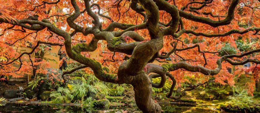 Creazione sito web Milano The Good In Town