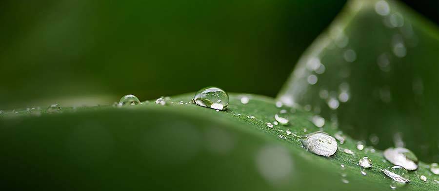 Realizzazione Sito Web Jasco Europe