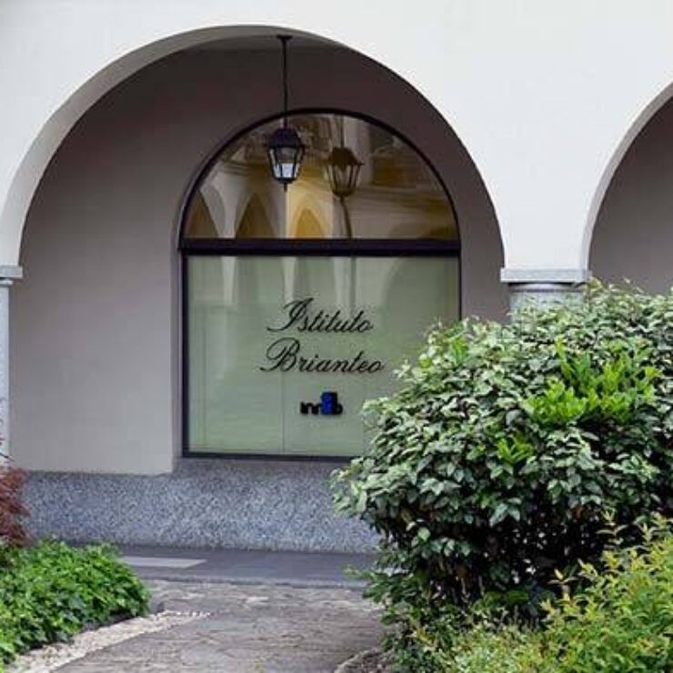 Realizzazione sito web istituto brianteo
