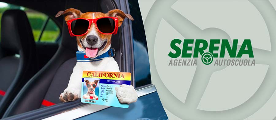 Restyling sito internet Verano Brianza