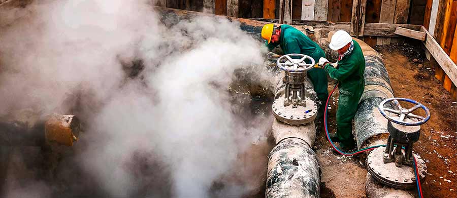 Rifacimento Sito Web Plenzich Roma