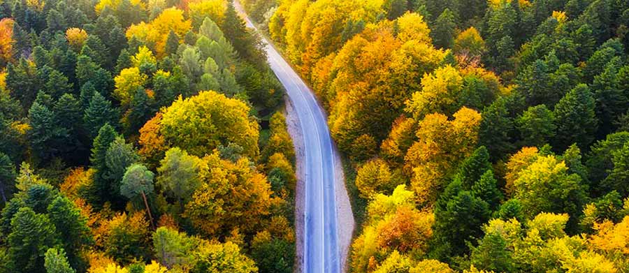 Rifacimento sito web IWIM Trento