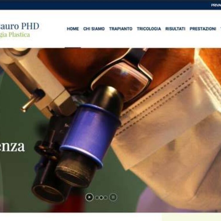 Sito web Milano Piero Tesauro