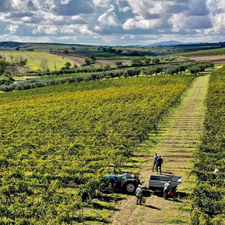 Sviluppo sito internet Unimer Milano