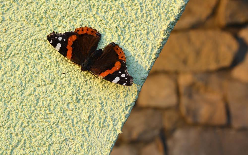 mobile friendly idea