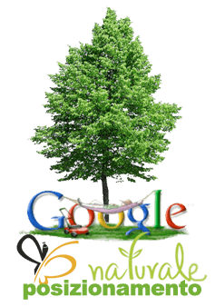posizionamento naturale google