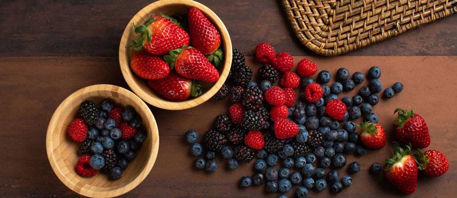 realizzazione siti web professionisti alkimedia