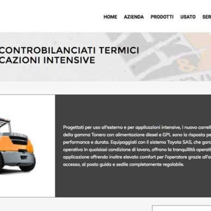 realizzazione sito internet cantone ticino Svizzera