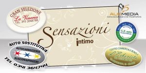 Stampa adesivi per interno e per esterno, stampa ed installazione vetrofanie